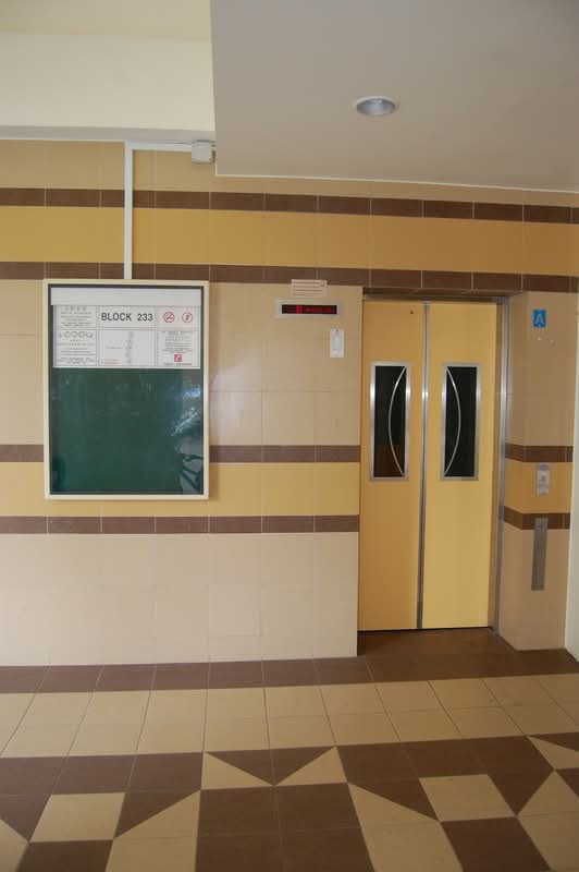 233 Tampines Street 21