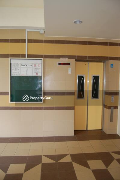 For Rent - 233 Tampines Street 21