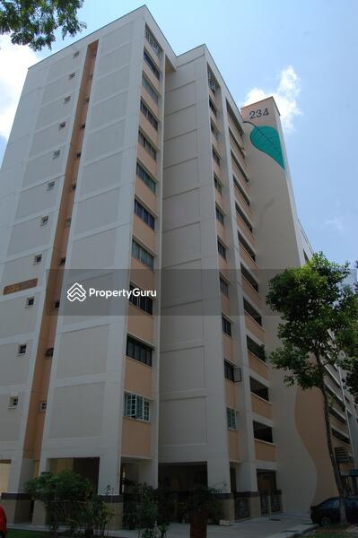 For Rent - 234 Tampines Street 21