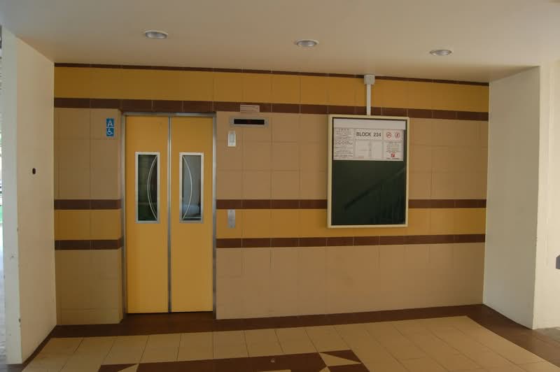 234 Tampines Street 21