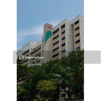 236 Tampines Street 21