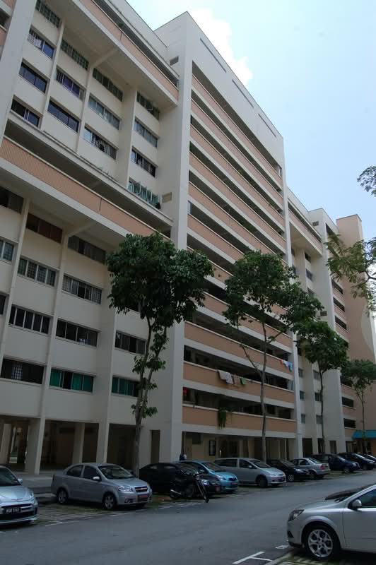 236 Tampines Street 21
