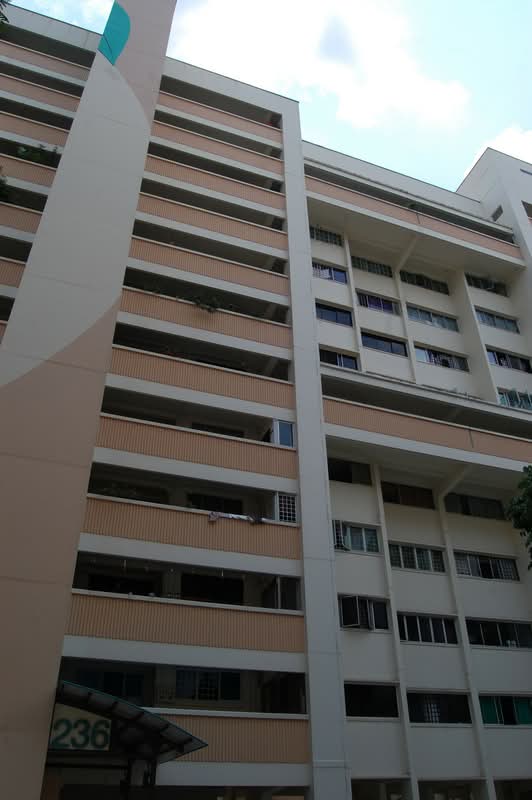 236 Tampines Street 21