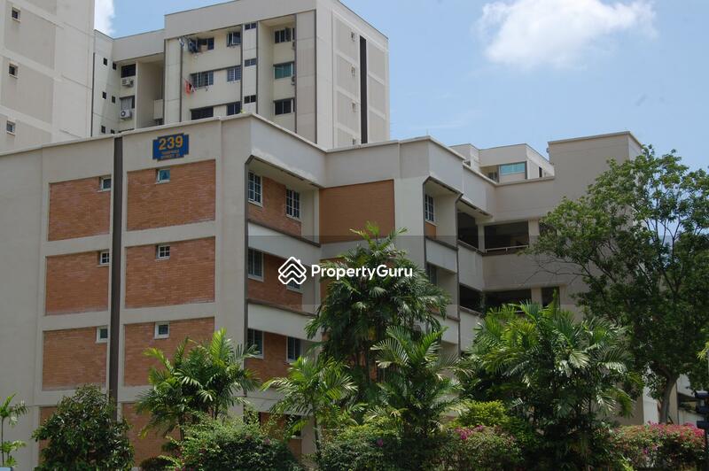 239 Tampines Street 21 #0
