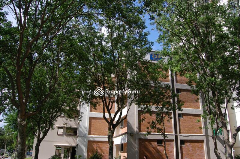 239 Tampines Street 21 #0