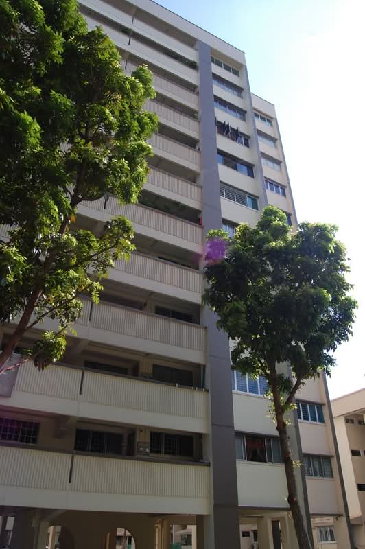 243 Tampines Street 21