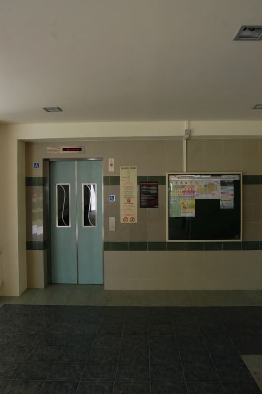 244 Tampines Street 21