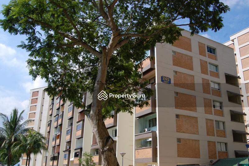 245 Tampines Street 21 #0