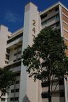247 Tampines Street 21 #0