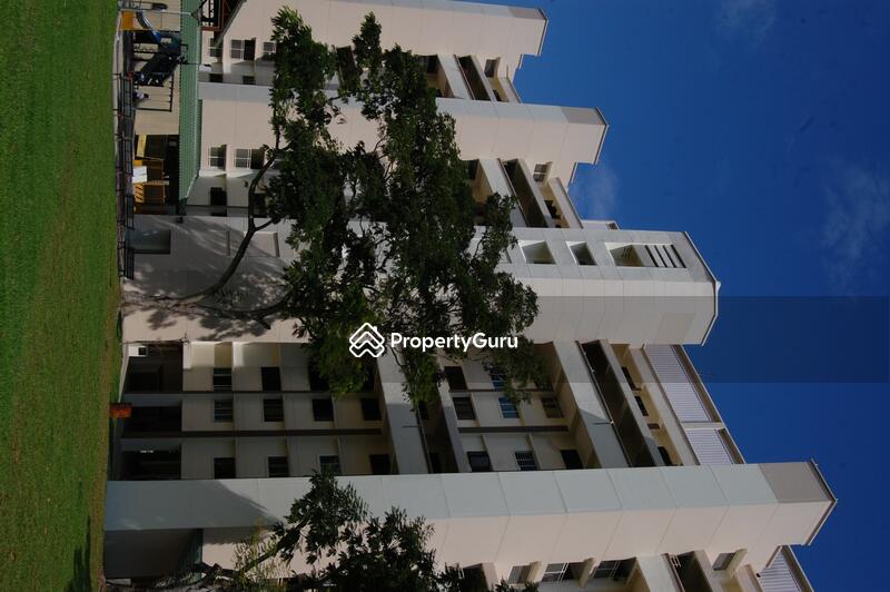 For Rent - 247 Tampines Street 21