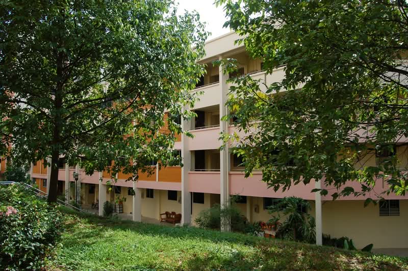 258 Tampines Street 21