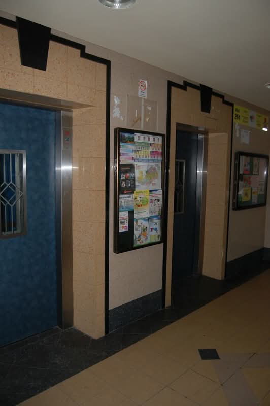 261 Tampines Street 21