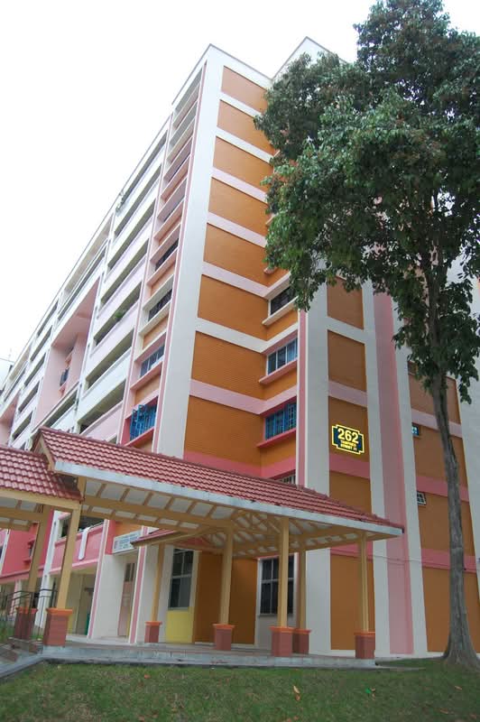 262 Tampines Street 21