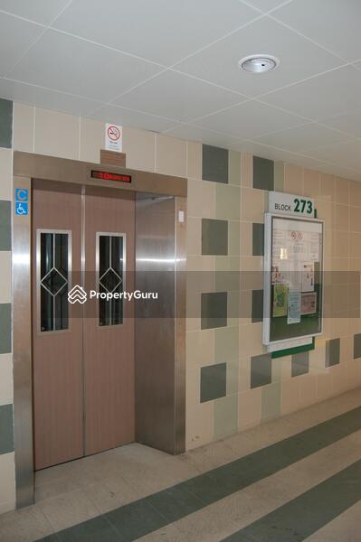 For Rent - 273 Tampines Street 22