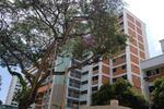215 Tampines Street 23 #0