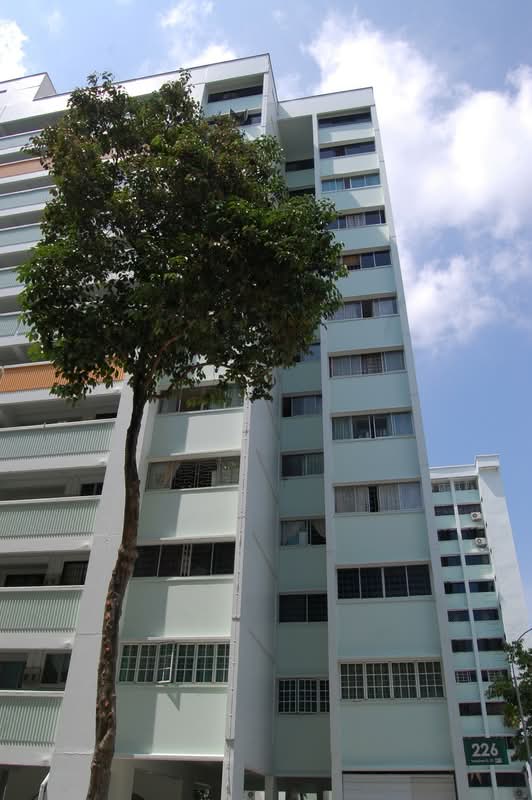 226 Tampines Street 23
