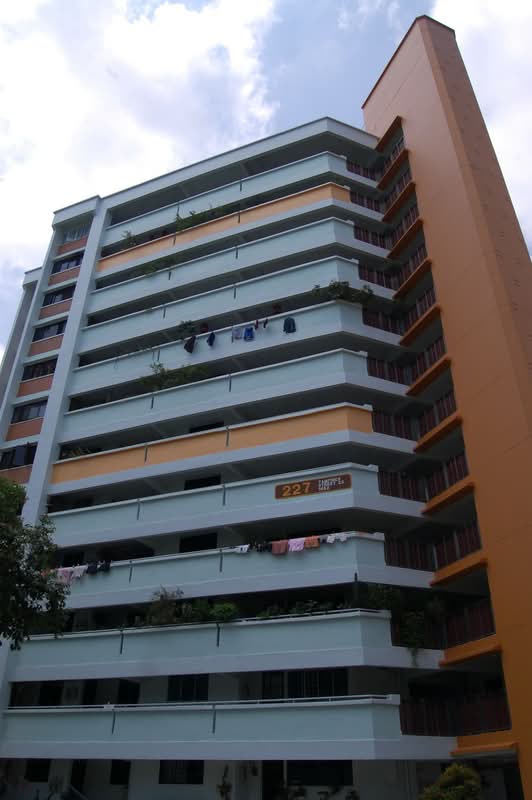 227 Tampines Street 23