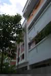 223 Tampines Street 24 #0