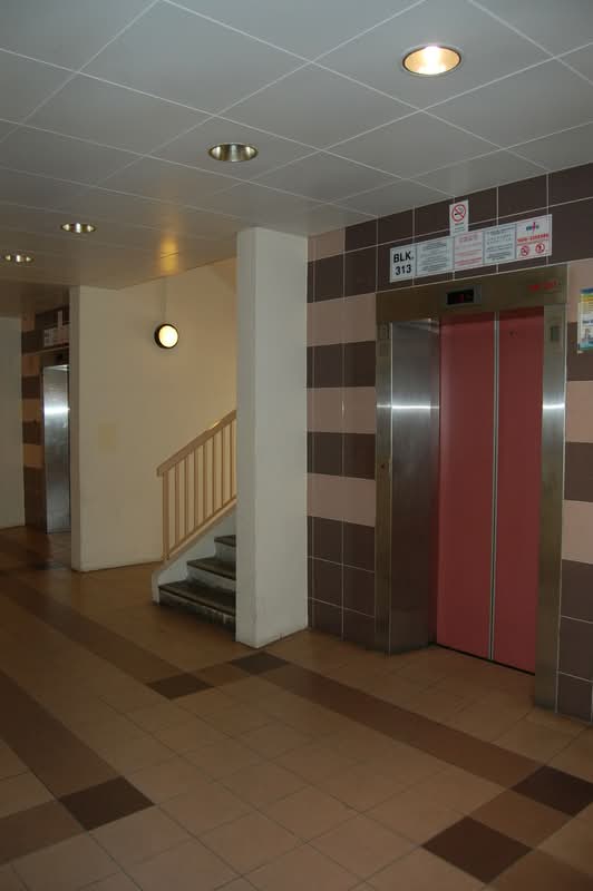 313 Tampines Street 33