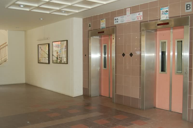 316 Tampines Street 33