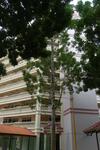 320 Tampines Street 33 #0