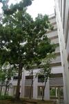 354 Tampines Street 33 #0