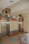 429 Tampines Street 41 #0