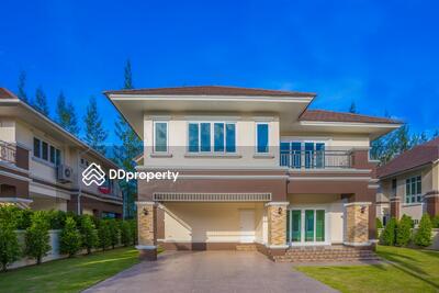 - Richy Rich Land Chiang Mai