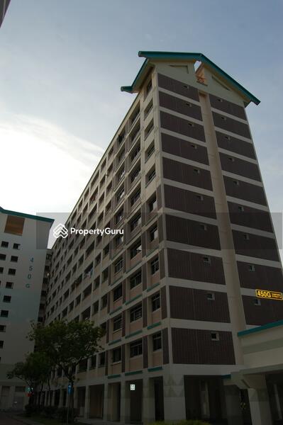 For Rent - 450G Tampines Street 42