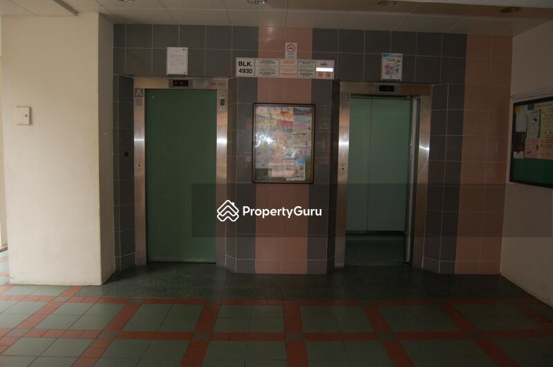 For Rent - 493D Tampines Street 43