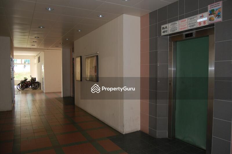 For Rent - 491C Tampines Street 45