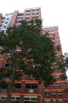 491G Tampines Street 45 #0