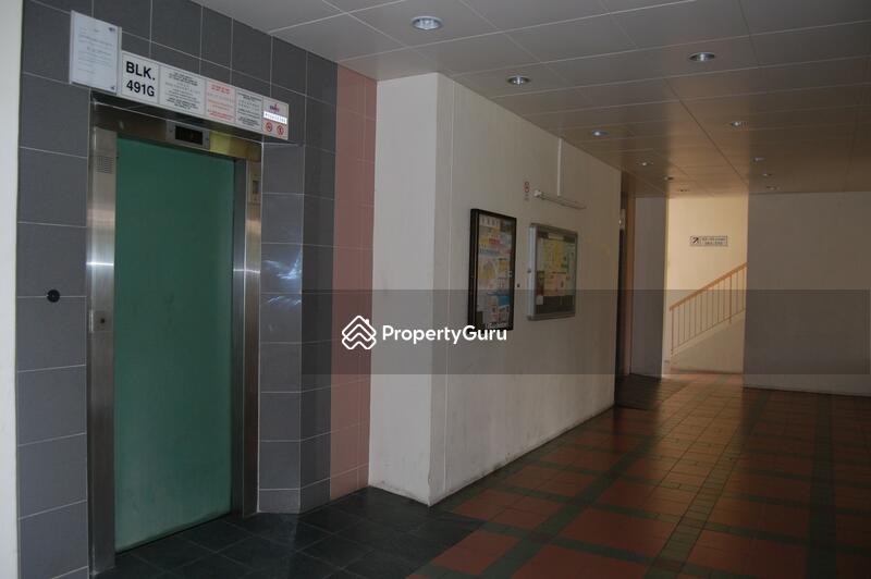 For Rent - 491G Tampines Street 45
