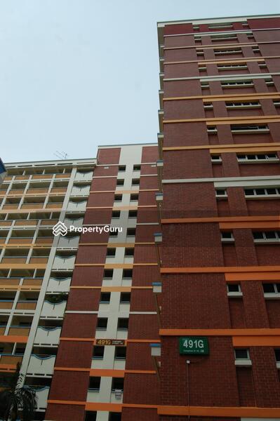 For Rent - 491G Tampines Street 45