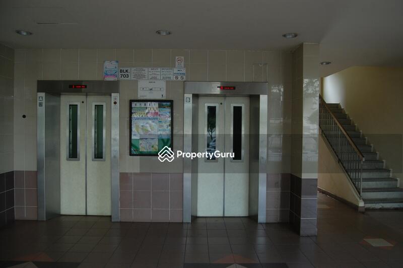 For Rent - 703 Tampines Street 71