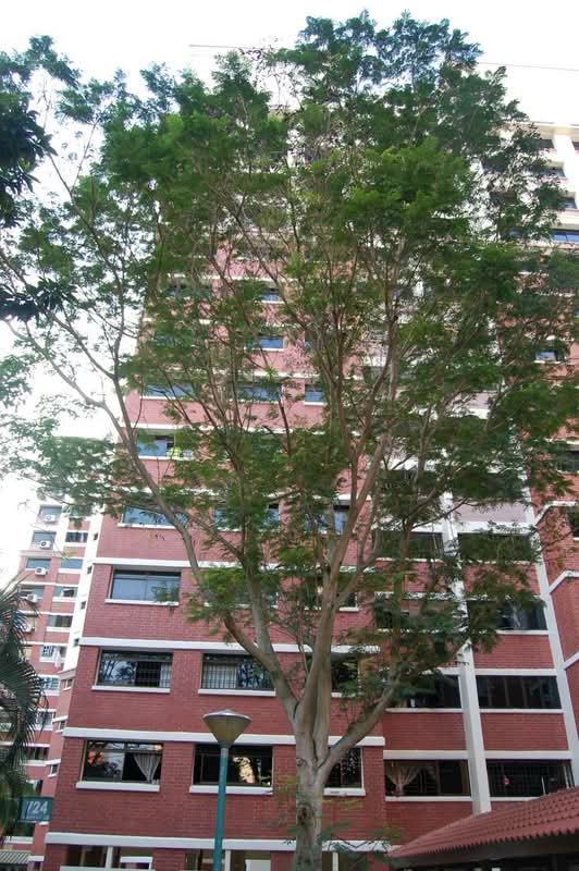 724 Tampines Street 71