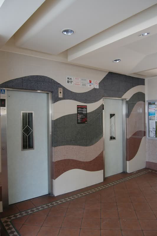 817 Tampines Street 81