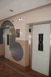 819 Tampines Street 81 #0