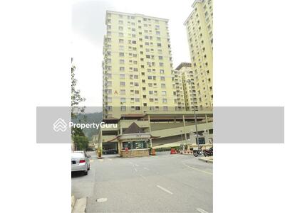 - Platinum Hill PV 3