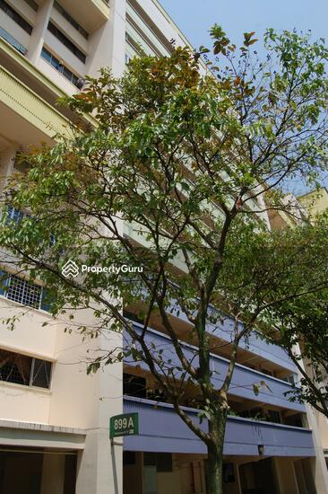 For Rent - 899A Tampines Street 81