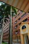 842B Tampines Street 82 #0