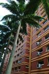 842B Tampines Street 82 #0