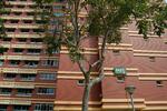 842C Tampines Street 82 #0