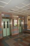 842F Tampines Street 82 #0