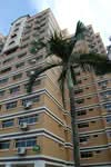 856F Tampines Street 82 #0