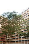 862 Tampines Street 83 #0