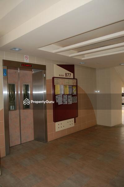For Rent - 877 Tampines Street 84