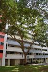 914 Tampines Street 91 #0