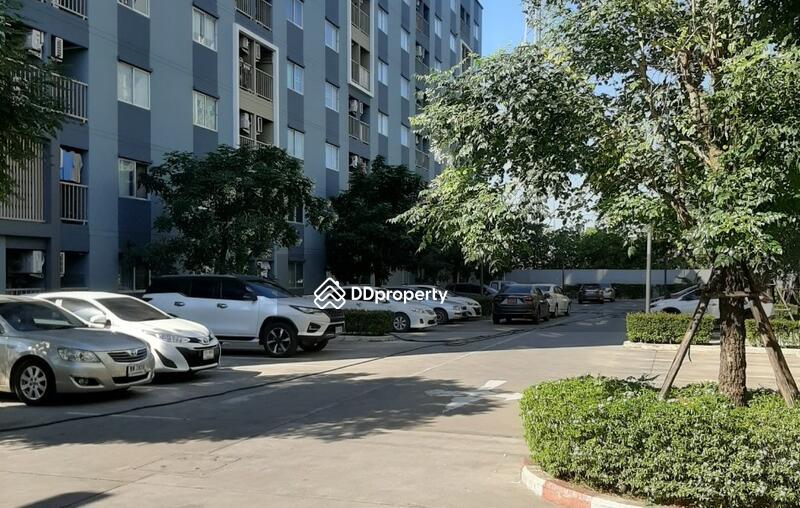 For Rent - The Point Condo Rangsit-Klong 6, Pathum Thani