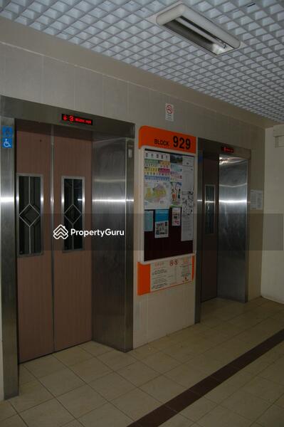For Rent - 929 Tampines Street 91